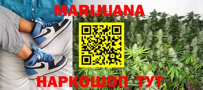 сатива Будённовск