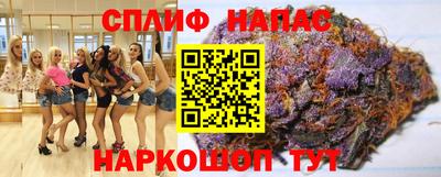 сатива Будённовск